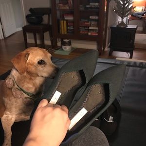 Rothy’s Dark Green The Point, 8.5